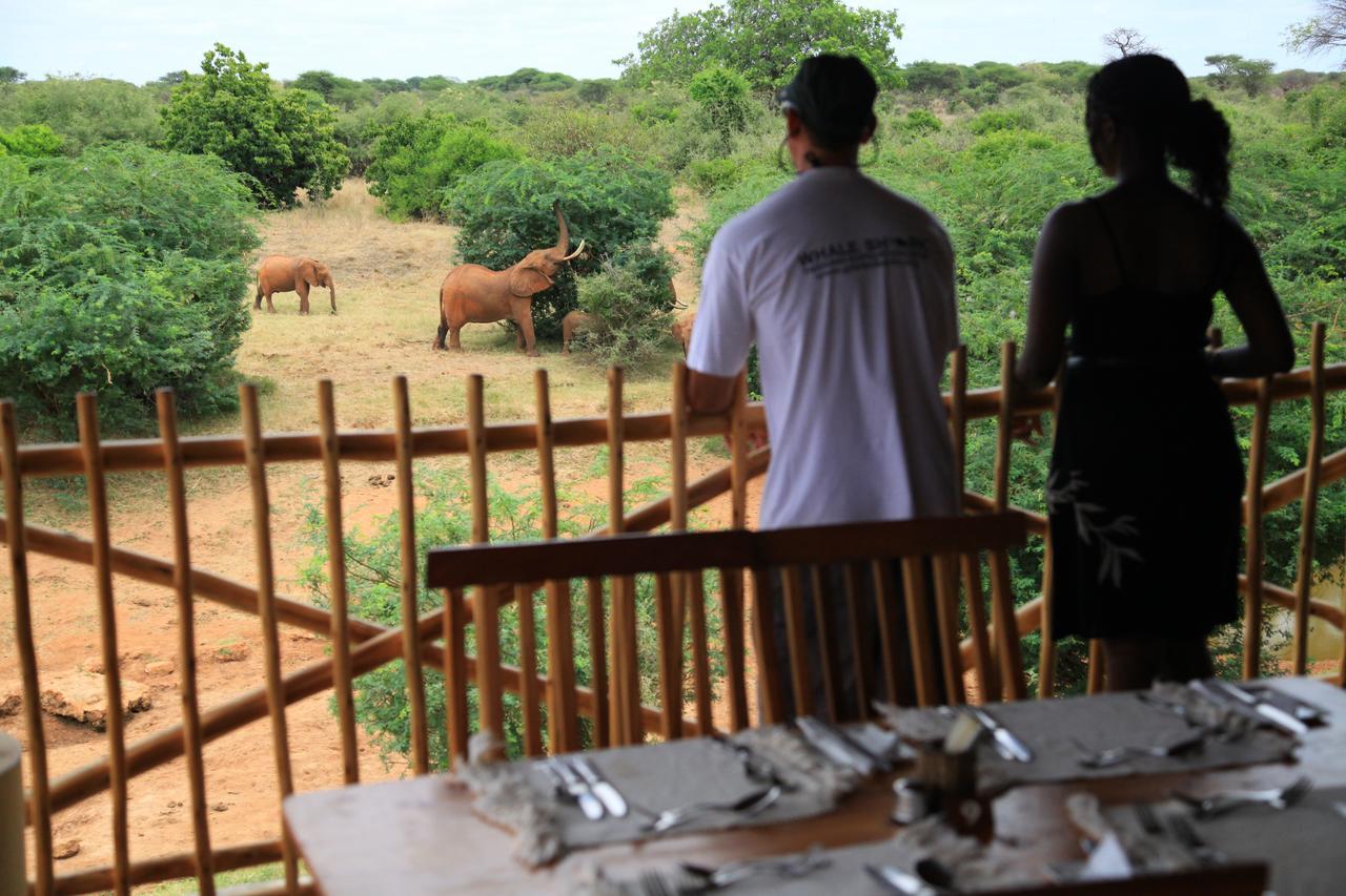 Hotel Manyatta Camp à Voi Extérieur photo